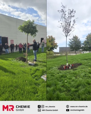 A few weeks ago, we planted two trees on our company premises – as a sign of remembrance.

One tree is dedicated to our recently deceased former managing director Hans-Jürgen Brandt. The second stands for Klaus Reichow, the founder of our company and long-time owner, who passed away some time ago.

After planting the trees, we lit candles in silent remembrance and with great respect for what both men built and left behind. The trees are now a place to pause and reflect. And a symbol that their work lives on.
__________

Vor einigen Wochen haben wir auf unserem Firmengelände zwei Bäume gepflanzt – als Zeichen des Gedenkens.

Ein Baum ist unserem kürzlich verstorbenen ehemaligen Geschäftsführer Hans-Jürgen Brandt gewidmet. Der zweite steht für Klaus Reichow, den Gründer unseres Unternehmens und langjährigen Inhaber, der bereits vor einiger Zeit verstorben ist.

Nach dem Pflanzen haben wir Kerzen entzündet – in stillem Gedenken und mit großem Respekt für das, was beide aufgebaut und hinterlassen haben.
Die Bäume sind nun ein Ort des Innehaltens. Und ein Symbol dafür, dass ihr Wirken fortbesteht.

#mrchemie #inmemory #respect #plantingtrees